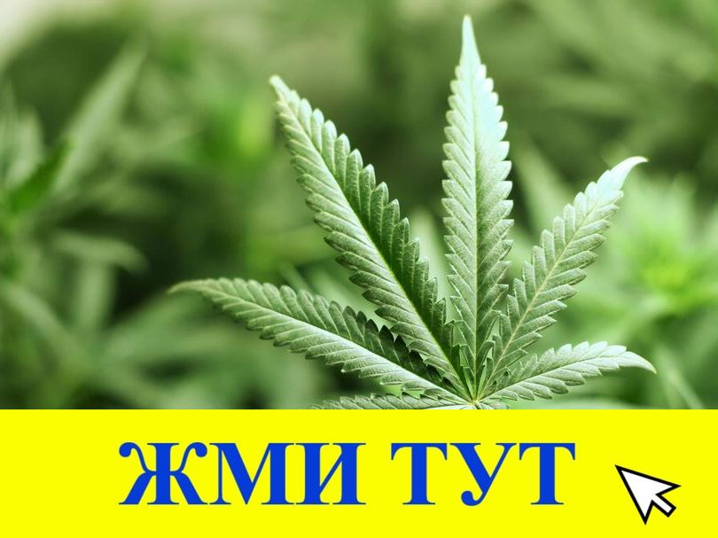 Купить наркотики в Кызыле